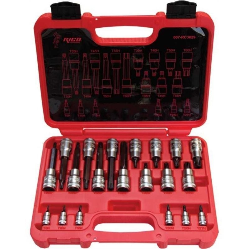20 Parça 1/4'' Ve 1/2'' Delikli Torx Lokma Takımı 007-RC3029
