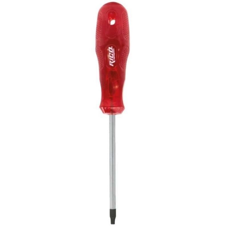 T10 X 100 Delikli Torx Star Tornavida 003-RT2516