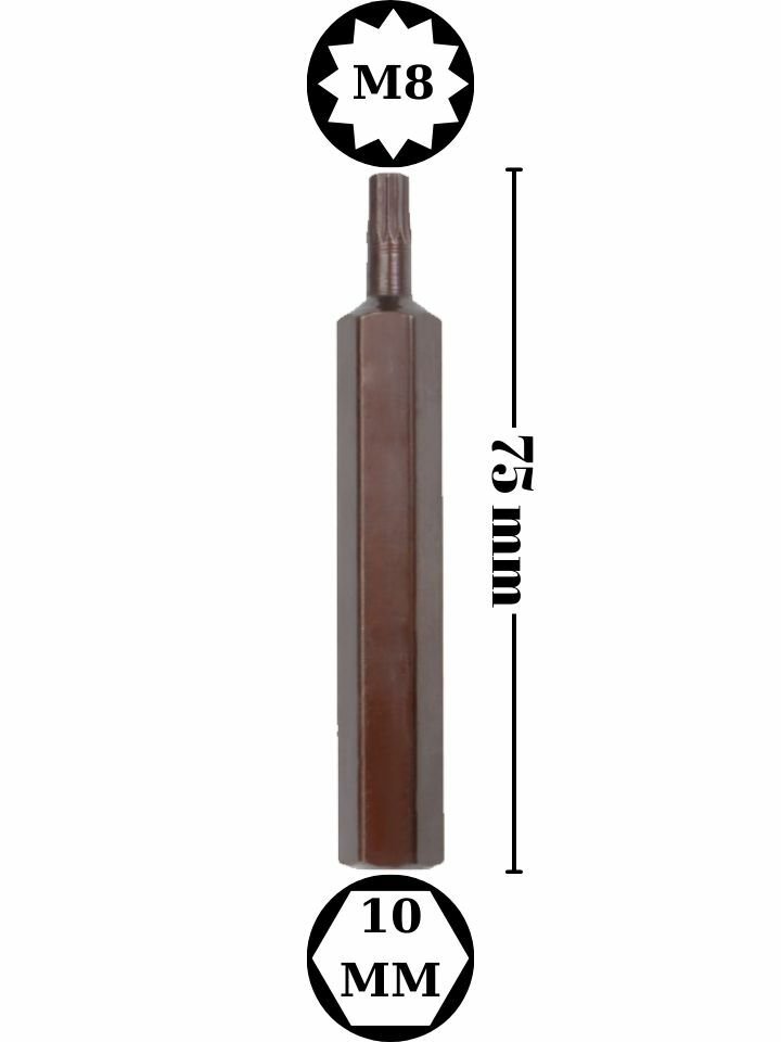 M8 Fare Diş Uzun Bits Uç NCBUM08S